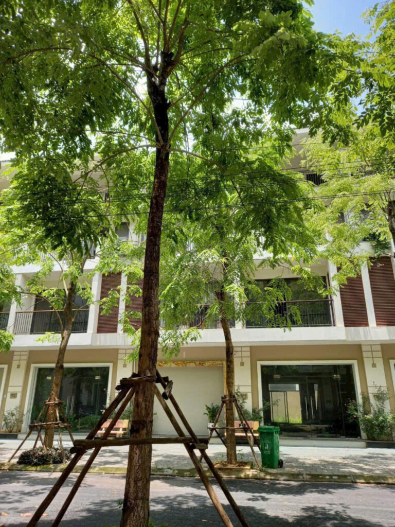 Liền kề CEOhomes Hana Garden Mê Linh có mặt tiền từ 5m - 7m